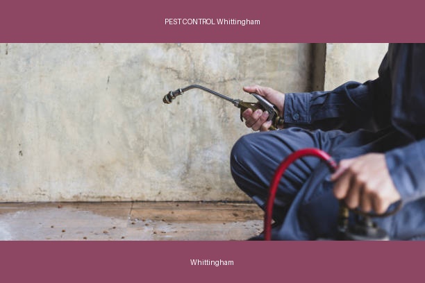 PEST CONTROL Whittingham